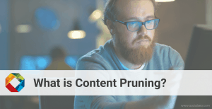 Content Pruning