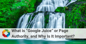 What is Google Juice?